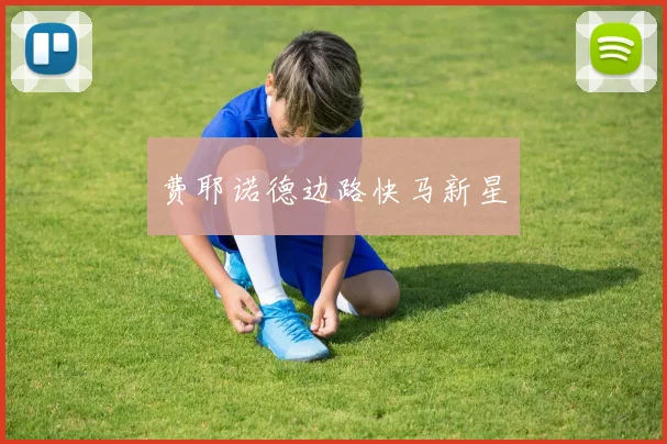 费耶诺德边路快马新星