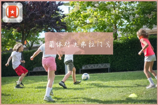 葡体对决弗拉门戈