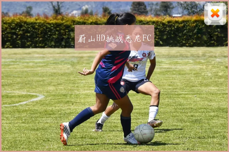 蔚山HD挑战悉尼FC