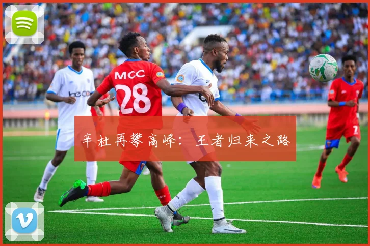 辛杜再攀高峰：王者归来之路
