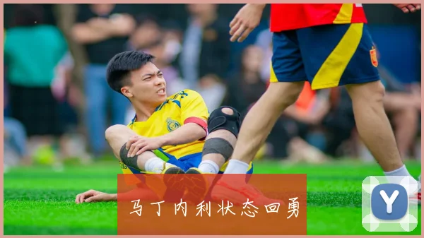 马丁内利状态回勇