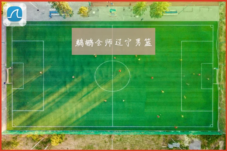 鹈鹕会师辽宁男篮