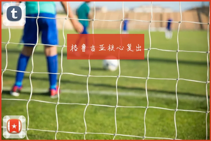 格鲁吉亚核心复出