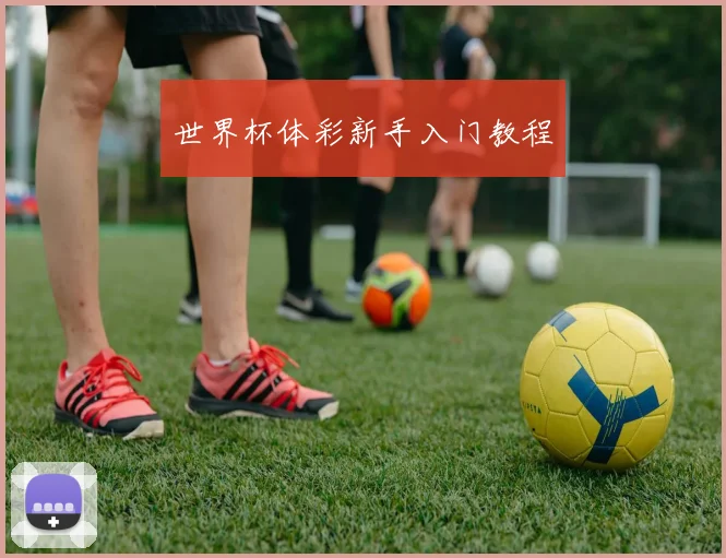 世界杯体彩新手入门教程