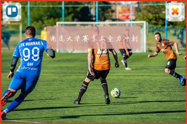 老虎大学赛季末全力冲刺