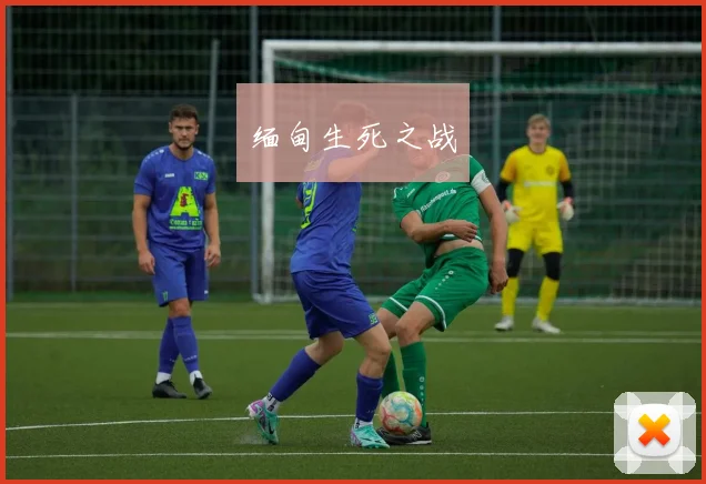缅甸生死之战
