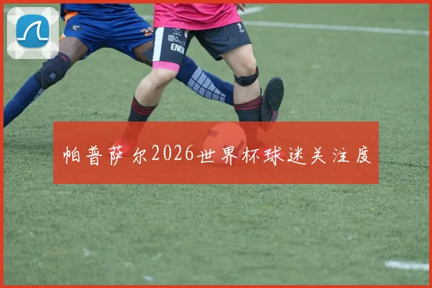 帕普萨尔2026世界杯球迷关注度