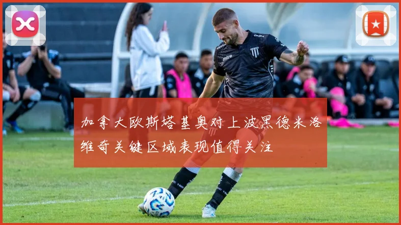 加拿大欧斯塔基奥对上波黑德米洛维奇关键区域表现值得关注