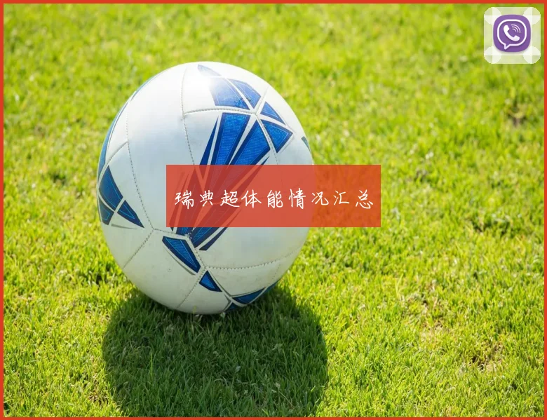 瑞典超体能情况汇总