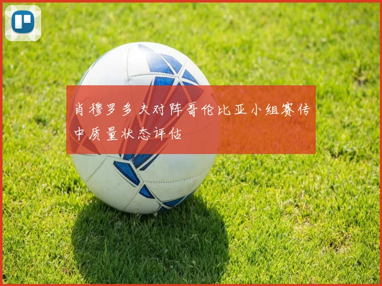 肖穆罗多夫对阵哥伦比亚小组赛传中质量状态评估