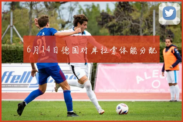 6月14日德国对库拉索体能分配